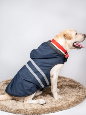 Raincoats